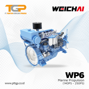 Marine Propulsion Engine WP6